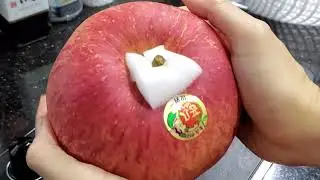 Japanese Aomori Sekai Ichi Apple 青森世界一りんご | Juicy Good Texture Super Big