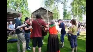 Trolleboschottis, Delsbostämman 2014