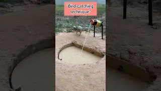&ldquo;Bird-catching technique&rdquo; #comedy #funny #birds