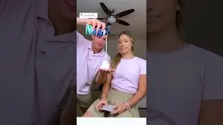 Going BALD