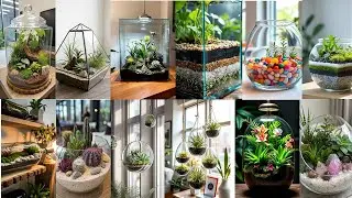 THE MINIATURE SANCTUARY: Seven Creative Terrarium Ideas for Every Style