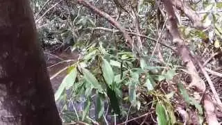 Wilderness Falls