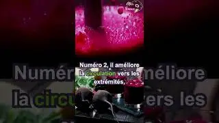 Bienfaits du jus de betterave
