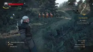 A Peaceful Moment with the Goats of Skellige