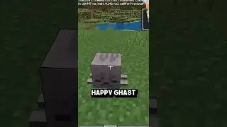 Try the GHAST UPDATE NOW #minecraft #ghast