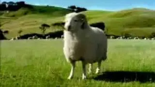 Great Ad from New Zealand