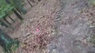 barefoot racing at Tesla Hertz 50k