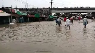 North Bengal Flood // Dalkhola // Purnia More