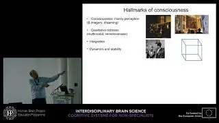 Lecture 3: Cyriel Pennartz - Can robots ever become conscious? Insights from (...)