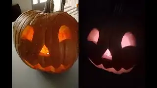 ASMR- Carve a Pumpkin- Halloween (Cutting, Scratch, Dig Sounds) No Talking