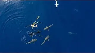 Eating ONLY What I Catch For 48 Hours In SHARK Infested Waters