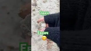 Ещё один еврич #xpdeus #minelab