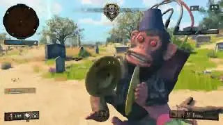 Blackout vapor and Saug solo win