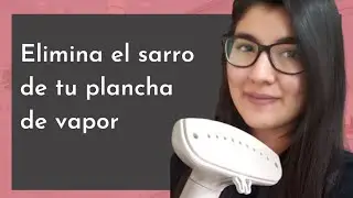 Como QUITAR  SARRO de una PLANCHA de VAPOR vertical ✅ [Selene Canales] SIN GASTAR un solo peso