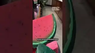 Lush, Watermelon & Global Activism