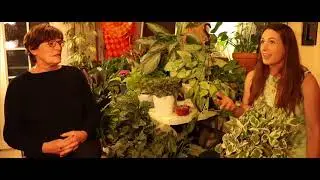 CHAPTER 1: Segment 4- Roots Meditation, Reflection & Application w/ Marthe Aponte