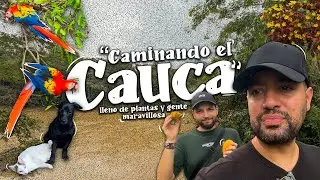 🌺 El Susurro del Río Cauca - Flores, Naturaleza y Gente que Enamora