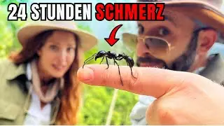 24-STUNDEN-AMEISE Herausforderung! Wird die Ameise stechen? Brave Wilderness Deutsch