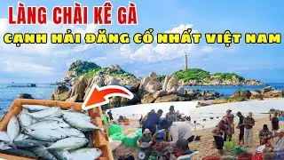 🌊 Khám Phá Vẻ Đẹp Làng Chài Kê Gà Mùa Mực – Bên Cạnh Hải Đăng Cổ Nhất Việt Nam ❤️ 🏝