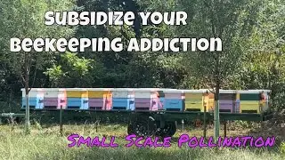 Subsidize your beekeeping addiction with small scale pollination | Beekeeping