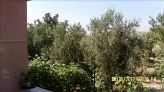 aziz tok kırıkhan çayı