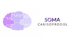 What is Soma?