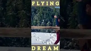 What Happens Next ?? Unpredictable Moment | Short  | Flying Dream