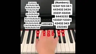 LEECHES piano tutorial (letters and numbers)