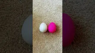 Opening water unicorn egg part 1 / magic unicorns / egg surprise