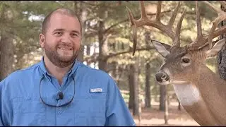 Arkansas Record Whitetail