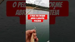 QUE PESCARIA!!! LOUCURA! #pescaria #eoluisquetafalando #pesca #shorts