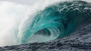 I Survived  The Japanese Tsunami Of 2011