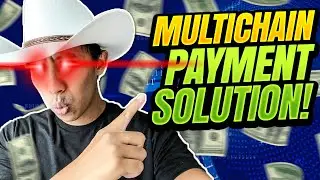 BlockX Project Developer Interview - Multichain Payment Solution!