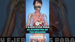 🌞 Despierta tu cuerpo desde la ma&ntilde;ana 🔄💪