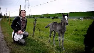 The Pretty Ploughboy - Folk from the Boat - Episode 123