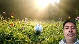 Beautiful Rabbit Searching for Food in a Peaceful Meadow | Realistic AI Nature Video #3