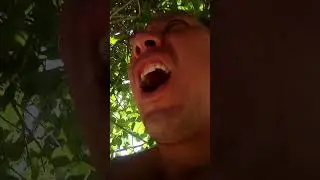 MANA PUA MAN