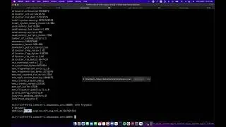 Debugging memory overflow of Redis instance in neetoChat