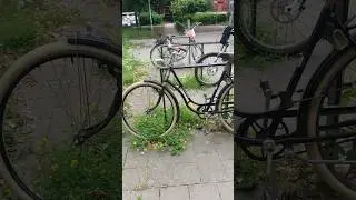 Находка артефакта на двух колёсах #велосипед #обзорвелосипеда