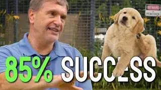 How to Spot Pet Allergies Before It Gets Bad | EP 6