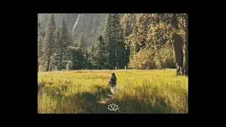 Sad Novo Amor x Piano Type Beat - &ldquo;Never Better&rdquo;