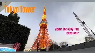 View from Tokyo Tower || Trip to Tokyo Tower || #tokyotower #tokyo #tokyotravel #japan #japantravel 
