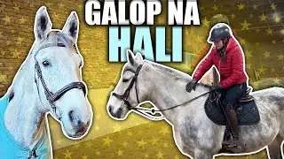 PIERWSZY GALOP NA NOWEJ HALI 😍