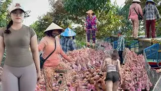 Full Video: Incredible Duck Delivery  50KM Boat Ride with Thousands of Ducks in Vietnam