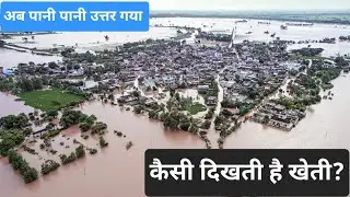 Nature V/s Farmer... प्रकृति बनाम किसान ।।... तबाही का मंजर पानी उतरने के बाद की लाइव तस्वीर।।।