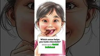 HUMAN BODY & SENSES &ndash;FUN Q&A VIDEO FOR KIDS!#humanbodyforkids #scienceforkids #learningvideosforkids