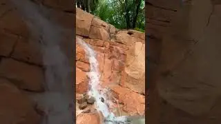 #shorts #waterfall #shorts #aquatica #orlando