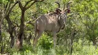 2025 South Africa Trip Part 1