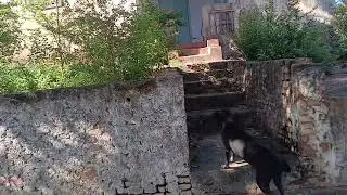 Casa muito antiga