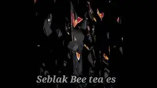 #shorts Seblak Nasi Goreng.Bee Tea es.